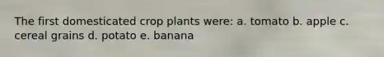 The first domesticated crop plants were: a. tomato b. apple c. cereal grains d. potato e. banana