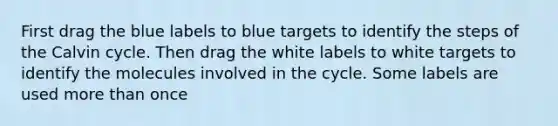 First drag the blue labels to blue targets to identify the steps of the Calvin cycle. Then drag the white labels to white targets to identify the molecules involved in the cycle. Some labels are used more than once