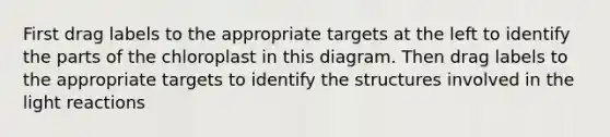 First drag labels to the appropriate targets at the left to identify the parts of the chloroplast in this diagram. Then drag labels to the appropriate targets to identify the structures involved in the <a href='https://www.questionai.com/knowledge/kSUoWrrvoC-light-reactions' class='anchor-knowledge'>light reactions</a>