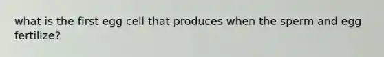 what is the first egg cell that produces when the sperm and egg fertilize?