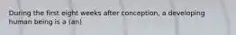 During the first eight weeks after conception, a developing human being is a (an)