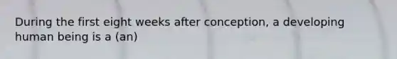 During the first eight weeks after conception, a developing human being is a (an)