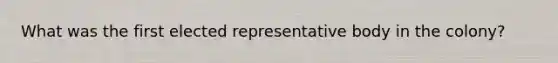 What was the first elected representative body in the colony?