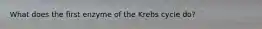 What does the first enzyme of the Krebs cycle do?