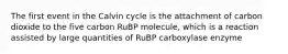 The first event in the Calvin cycle is the attachment of carbon dioxide to the five carbon RuBP molecule, which is a reaction assisted by large quantities of RuBP carboxylase enzyme