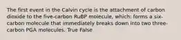 The first event in the Calvin cycle is the attachment of carbon dioxide to the five-carbon RuBP molecule, which: forms a six-carbon molecule that immediately breaks down into two three-carbon PGA molecules. True False