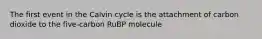 The first event in the Calvin cycle is the attachment of carbon dioxide to the five-carbon RuBP molecule