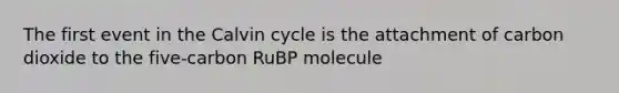 The first event in the Calvin cycle is the attachment of carbon dioxide to the five-carbon RuBP molecule