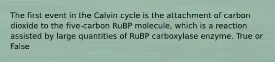 The first event in the Calvin cycle is the attachment of carbon dioxide to the five-carbon RuBP molecule, which is a reaction assisted by large quantities of RuBP carboxylase enzyme. True or False