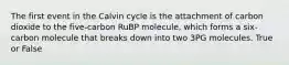 The first event in the Calvin cycle is the attachment of carbon dioxide to the five-carbon RuBP molecule, which forms a six-carbon molecule that breaks down into two 3PG molecules. True or False