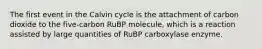 The first event in the Calvin cycle is the attachment of carbon dioxide to the five-carbon RuBP molecule, which is a reaction assisted by large quantities of RuBP carboxylase enzyme.