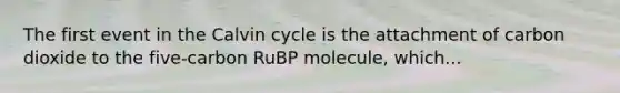 The first event in the Calvin cycle is the attachment of carbon dioxide to the five-carbon RuBP molecule, which...