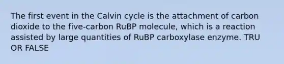 The first event in the Calvin cycle is the attachment of carbon dioxide to the five-carbon RuBP molecule, which is a reaction assisted by large quantities of RuBP carboxylase enzyme. TRU OR FALSE