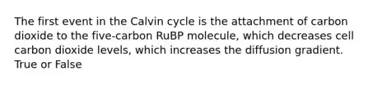 The first event in the Calvin cycle is the attachment of carbon dioxide to the five-carbon RuBP molecule, which decreases cell carbon dioxide levels, which increases the diffusion gradient. True or False