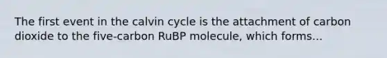 The first event in the calvin cycle is the attachment of carbon dioxide to the five-carbon RuBP molecule, which forms...