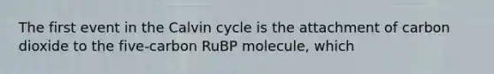 The first event in the Calvin cycle is the attachment of carbon dioxide to the five-carbon RuBP molecule, which