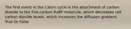 The first event in the Calvin cycle is the attachment of carbon dioxide to the five-carbon RuBP molecule, which decreases cell carbon dioxide levels, which increases the diffusion gradient. True Or False