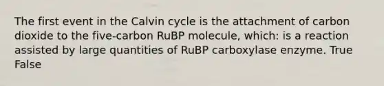 The first event in the Calvin cycle is the attachment of carbon dioxide to the five-carbon RuBP molecule, which: is a reaction assisted by large quantities of RuBP carboxylase enzyme. True False