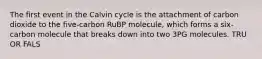 The first event in the Calvin cycle is the attachment of carbon dioxide to the five-carbon RuBP molecule, which forms a six-carbon molecule that breaks down into two 3PG molecules. TRU OR FALS