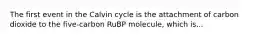 The first event in the Calvin cycle is the attachment of carbon dioxide to the five-carbon RuBP molecule, which is...