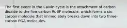 The first event in the Calvin cycle is the attachment of carbon dioxide to the five-carbon RuBP molecule, which:forms a six-carbon molecule that immediately breaks down into two three-carbon PGA molecules.