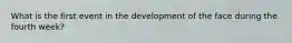 What is the first event in the development of the face during the fourth week?