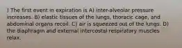 ) The first event in expiration is A) inter-alveolar pressure increases. B) elastic tissues of the lungs, thoracic cage, and abdominal organs recoil. C) air is squeezed out of the lungs. D) the diaphragm and external intercostal respiratory muscles relax.