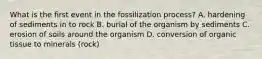 What is the first event in the fossilization process? A. hardening of sediments in to rock B. burial of the organism by sediments C. erosion of soils around the organism D. conversion of organic tissue to minerals (rock)