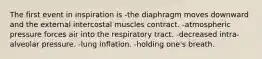 The first event in inspiration is -the diaphragm moves downward and the external intercostal muscles contract. -atmospheric pressure forces air into the respiratory tract. -decreased intra-alveolar pressure. -lung inflation. -holding one's breath.