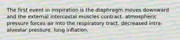 The first event in inspiration is the diaphragm moves downward and the external intercostal muscles contract. atmospheric pressure forces air into the respiratory tract. decreased intra-alveolar pressure. lung inflation.