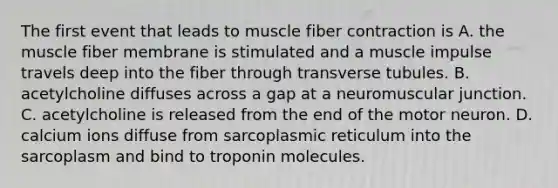 The first event that leads to muscle fiber contraction is A. the muscle fiber membrane is stimulated and a muscle impulse travels deep into the fiber through transverse tubules. B. acetylcholine diffuses across a gap at a neuromuscular junction. C. acetylcholine is released from the end of the motor neuron. D. calcium ions diffuse from sarcoplasmic reticulum into the sarcoplasm and bind to troponin molecules.