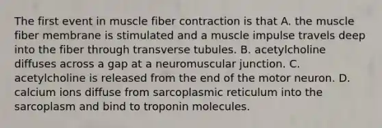 The first event in muscle fiber contraction is that A. the muscle fiber membrane is stimulated and a muscle impulse travels deep into the fiber through transverse tubules. B. acetylcholine diffuses across a gap at a neuromuscular junction. C. acetylcholine is released from the end of the motor neuron. D. calcium ions diffuse from sarcoplasmic reticulum into the sarcoplasm and bind to troponin molecules.