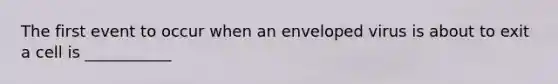 The first event to occur when an enveloped virus is about to exit a cell is ___________