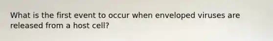 What is the first event to occur when enveloped viruses are released from a host cell?