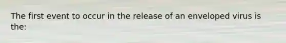 The first event to occur in the release of an enveloped virus is the: