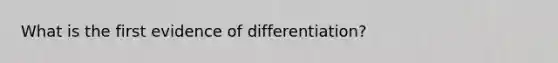 What is the first evidence of differentiation?