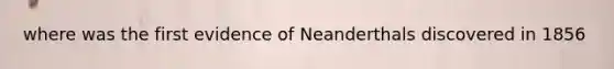 where was the first evidence of Neanderthals discovered in 1856