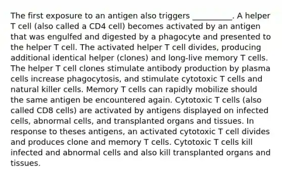 The first exposure to an antigen also triggers __________. A helper T cell (also called a CD4 cell) becomes activated by an antigen that was engulfed and digested by a phagocyte and presented to the helper T cell. The activated helper T cell divides, producing additional identical helper (clones) and long-live memory T cells. The helper T cell clones stimulate antibody production by plasma cells increase phagocytosis, and stimulate cytotoxic T cells and natural killer cells. Memory T cells can rapidly mobilize should the same antigen be encountered again. Cytotoxic T cells (also called CD8 cells) are activated by antigens displayed on infected cells, abnormal cells, and transplanted organs and tissues. In response to theses antigens, an activated cytotoxic T cell divides and produces clone and memory T cells. Cytotoxic T cells kill infected and abnormal cells and also kill transplanted organs and tissues.