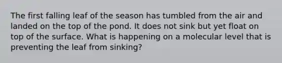 The first falling leaf of the season has tumbled from the air and landed on the top of the pond. It does not sink but yet float on top of the surface. What is happening on a molecular level that is preventing the leaf from sinking?