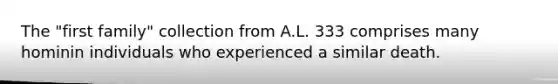 The "first family" collection from A.L. 333 comprises many hominin individuals who experienced a similar death.