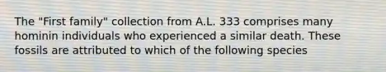 The "First family" collection from A.L. 333 comprises many hominin individuals who experienced a similar death. These fossils are attributed to which of the following species