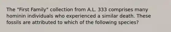 The "First Family" collection from A.L. 333 comprises many hominin individuals who experienced a similar death. These fossils are attributed to which of the following species?