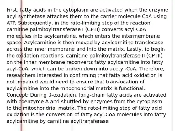 First, fatty acids in the cytoplasm are activated when the enzyme acyl synthetase attaches them to the carrier molecule CoA using ATP. Subsequently, in the rate-limiting step of the reaction, carnitine palmitoyltransferase I (CPTI) converts acyl-CoA molecules into acylcarnitine, which enters the intermembrane space. Acylcarnitine is then moved by acylcarnitine translocase across the inner membrane and into the matrix. Lastly, to begin the oxidation reactions, carnitine palmitoyltransferase II (CPTII) on the inner membrane reconverts fatty acylcarnitine into fatty acyl-CoA, which can be broken down into acetyl-CoA. Therefore, researchers interested in confirming that fatty acid oxidation is not impaired would need to ensure that translocation of acylcarnitine into the mitochondrial matrix is functional. Concept: During β-oxidation, long-chain fatty acids are activated with coenzyme A and shuttled by enzymes from the cytoplasm to the mitochondrial matrix. The rate-limiting step of fatty acid oxidation is the conversion of fatty acyl-CoA molecules into fatty acylcarnitine by carnitine acyltransferase