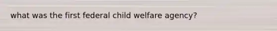 what was the first federal child welfare agency?