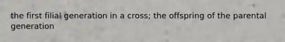 the first filial generation in a cross; the offspring of the parental generation