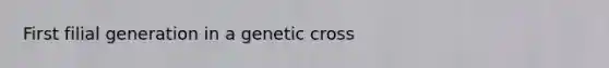 First filial generation in a genetic cross