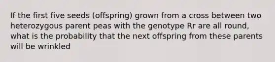 If the first five seeds (offspring) grown from a cross between two heterozygous parent peas with the genotype Rr are all round, what is the probability that the next offspring from these parents will be wrinkled