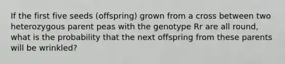 If the first five seeds (offspring) grown from a cross between two heterozygous parent peas with the genotype Rr are all round, what is the probability that the next offspring from these parents will be wrinkled?