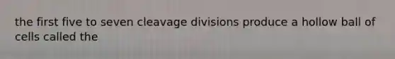 the first five to seven cleavage divisions produce a hollow ball of cells called the