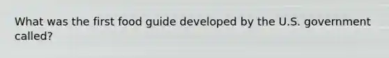 What was the first food guide developed by the U.S. government called?
